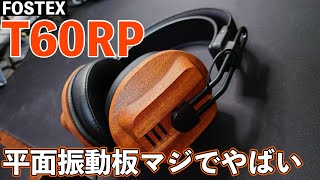 【レビュー】ついに平面駆動型ドライバーデビュー音質に大感激 [upl. by Midge]