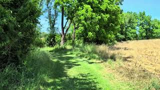 Norristown Farm Park  A Walk Off The Main Trail  1 June 2024 [upl. by Meghann]