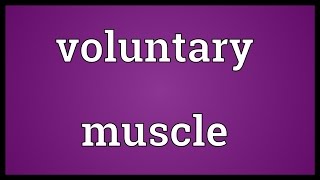 Voluntary muscle Meaning [upl. by Tomlinson]