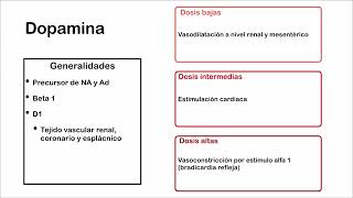 Agonistas Alfa y Beta Adrenérgicos [upl. by Dranyam718]