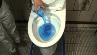 TOTO Double Cyclone Flushing System Demo [upl. by Kanor906]