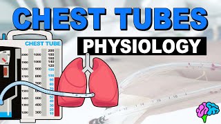 Chest Tube Physiology Review [upl. by Bertelli]