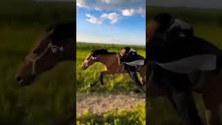 Next Level Horse Riding shorts horseriding horse amazing [upl. by Ahseenak]