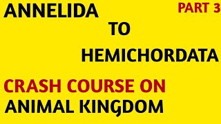 CHARTNCERTCrash CourseClass 11Animal KingdomAnnelida to Hemichordata Part3NEETAIIMS [upl. by Ty]