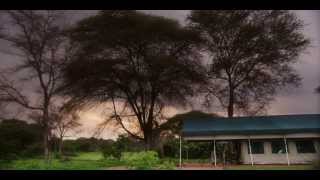 Essential Destinations  Ruaha  Mdonya Old River  Wet Season [upl. by Oiliruam959]