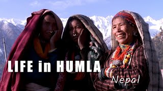 LIFE IN HUMLA  NEPAL [upl. by Taggart105]