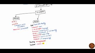 Acute Diarrhea for USMLE [upl. by Sirovart]