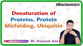 Denaturation Of Proteins Protein Misfolding Ubiquitin  Medical Biochemistry [upl. by Siwel]