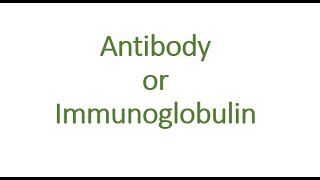 ANTIBODYIMMUNOGLOBULINS MALAYALAM [upl. by Htilil]