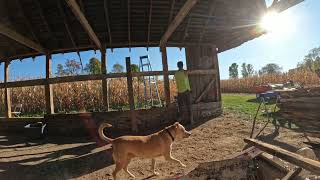 How to Replace Barn Siding Pt 1 Oct 2024 [upl. by Bena]