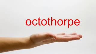 How to Pronounce octothorpe  American English [upl. by Amihsat]