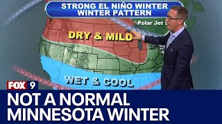 Minnesota weather Winter is broken [upl. by Russon]