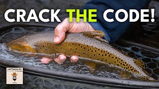 5 Ways to Catch Picky Trout  Ep 69 [upl. by Begga49]