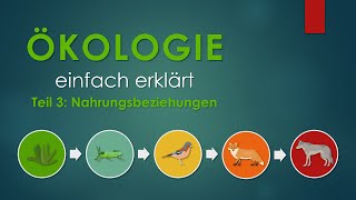 3 Nahrungsbeziehungen  ÖKOLOGIE einfach erklärt [upl. by Corenda]