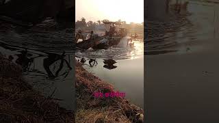 Kopikopi chhath gana YouTube short video 🙏🙏 [upl. by Marquet]