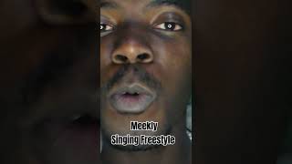 Meekly SingingFreestyle Meekly Meeklysinging Singing Freestyle Mzansi TrendingMzansivideo RnB [upl. by Kippie]