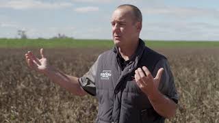 Incitec Pivot Fertilisers Post Flooding  Plant Tissue Testing Part 3 of 3 [upl. by Enert]