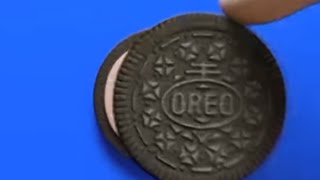 Oreo Chocolate Flavor Effects Sponsored By Preview 2 Effects [upl. by Rooker512]