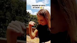 What to Do When a Swarm of Bees Attacks🐝🚨 alarm emergency survivalhorror survival [upl. by Eloccin567]