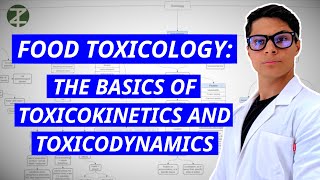 Food Toxicology Explained Toxicokinetics amp Toxicodynamics [upl. by Ilera]