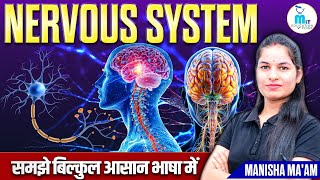 Nervous system in hindi  Neuron Types  Sensory amp motor neuron  Structure and function [upl. by Etra]