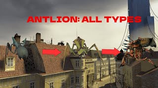 All Types Of Antlions Half Life 2  GMOD [upl. by Missy]