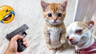 The Funniest Dogs and Cats Videos 2024 To Crack You Up All Long Day 2 [upl. by Farlee]