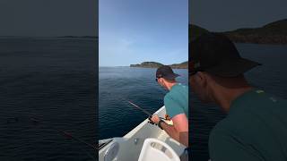 Cod fishing off the coast of Newfoundland on Bonavista Bay fish boating exploreNL travel [upl. by Emerej]