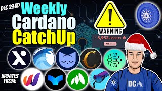 Cardano Updates Launches SCAMs and Important Warnings [upl. by Arreit84]