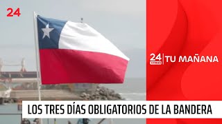 Se acercan las Fiestas Patrias Los tres días en el año que es obligatorio colocar la bandera [upl. by Melburn453]