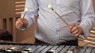 Glockenspiel Technique 101  Lesson 5  Making A Sound [upl. by Earissed]