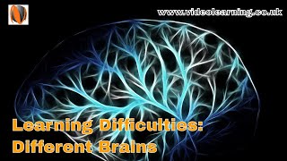 Learning Difficulties Different Brains [upl. by Aynwad]