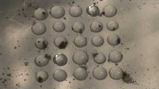 Heterogeneous nucleation of supercooled liquid water drops [upl. by Hilda]