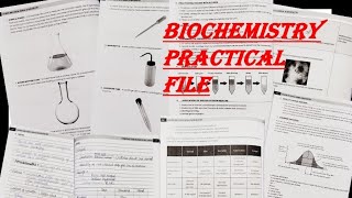 GOVERNMENT MBBS COLLEGE BIOCHEMISTRY PRACTICAL FILE  JOURNAL  PDF  HOW TO MAINTAIN [upl. by Asssilem]