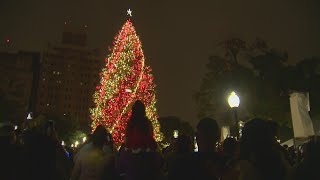 Travis Park Christmas tree going up in downtown San Antonio [upl. by Yrrat]