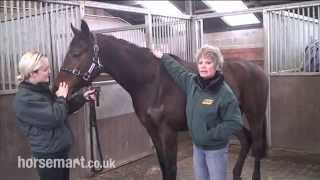 How to assess an exracehorse for feeding [upl. by Aihsoem]