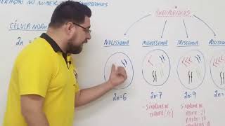 Mutações Cromossômicas Numéricas [upl. by Yraccaz]