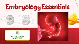 “EMBRYOLOGY 101 Essential Terms You Need to Know’’ [upl. by Chenee]