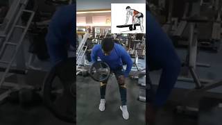 HOW TO DO DUMBBELL amp BARBELL ROWyoutubeshorts trindingshortsviralshort barbllrowshorts [upl. by Renat270]