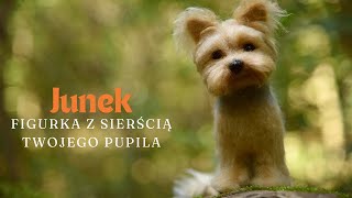 Junek personalizowana figurka z sierścią twojego pupilaYorkshire terrier filcowanie needlefelting [upl. by Siskind]