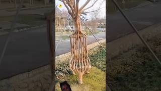 plants tree garden art diy inspirationalstory factsinhindi [upl. by Safier590]