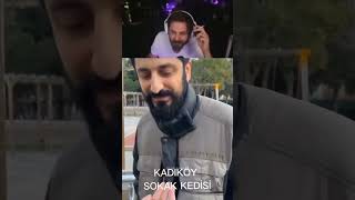 Elraenn röportaj adam izliyor😂  Semtlere göre sokak kedileri aboneol keşfet [upl. by Chernow]