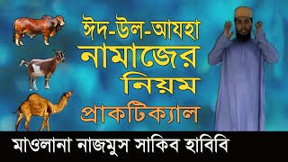 ঈদুল আজহার নামাজের নিয়ম  Eider Namaz Porar Niom  Eid ul Adha Namaz  Nazmus Sakib Habibi [upl. by Jaddan]