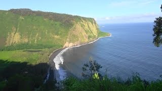 ハワイアンの聖地「 ワイピオ渓谷 展望台 」： Waipio Valley Lookout  ぶらり旅ハワイ [upl. by Fedirko350]