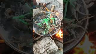 Amazing catch and cook Crabs on the beach survival survival catchandcook crab [upl. by Conlee]