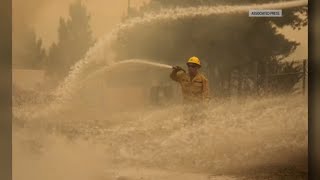 California Wildfires Excelsior Fire Post Fire  Update June 16 2024 [upl. by Noslrac]