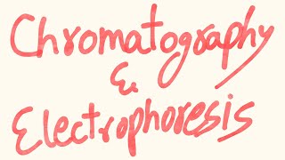 Chromatography and Electrophoresis [upl. by Nagrom]