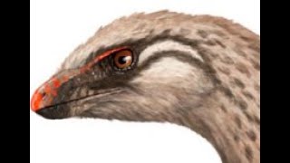 Lesothosaurus Fleet footed Ornithischian from Early Jurassic Southern Africa [upl. by Noby]