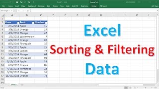 Excel Sorting and Filtering Data [upl. by Aubreir770]