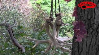 Best Antler Rattling Secrets Ever Revealed  Tree Stand Deer Hunting [upl. by Almap501]